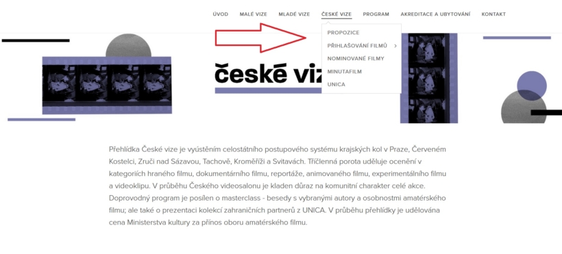 web české vize