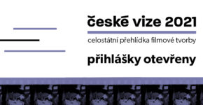 Přihláška na České vize