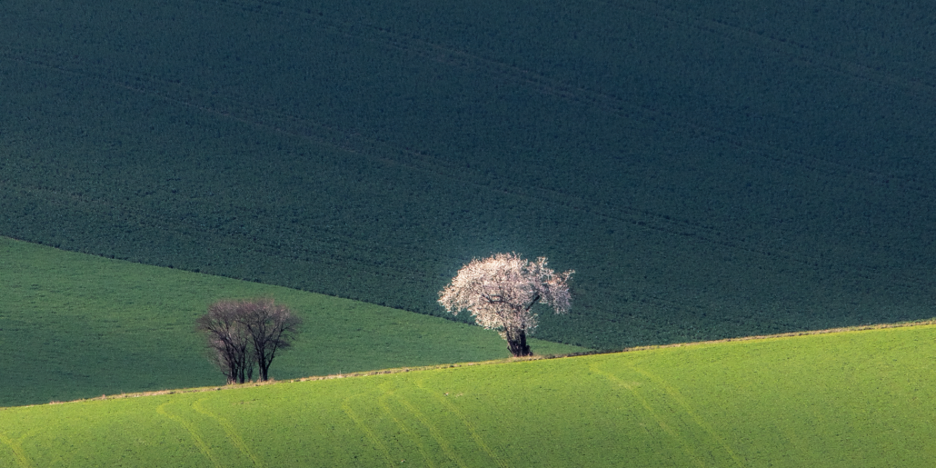 PREMIÉRA 2023 – 34. ročník fotografické soutěže