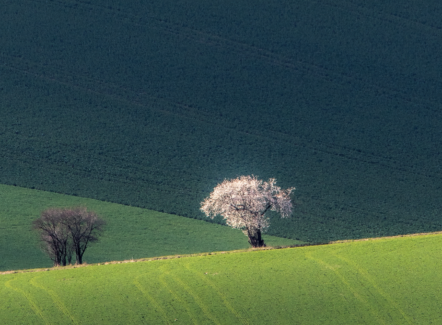 PREMIÉRA 2023 – 34. ročník fotografické soutěže