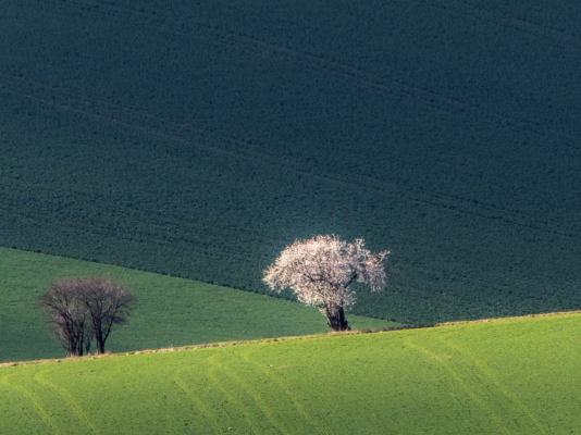 PREMIÉRA 2023 - 34. ročník fotografické soutěže