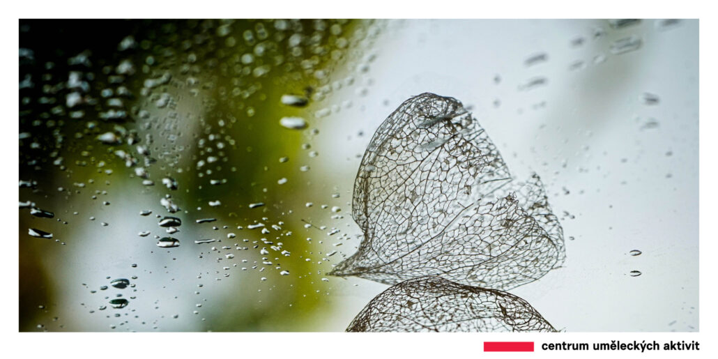 Výstava fotografií – Jitka Prausová