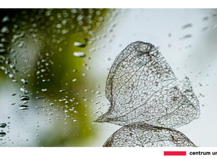 Výstava fotografií – Jitka Prausová