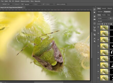 Adobe Photoshop – Den 3