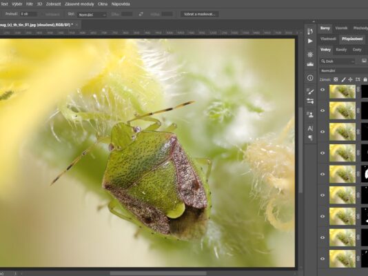 Photoshop III: Maskování, retuše a pokročilé techniky